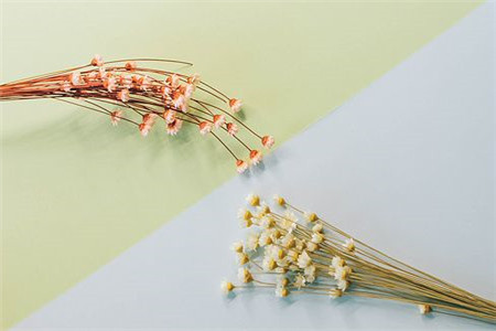 黑龍江自考學歷國家承認嗎?